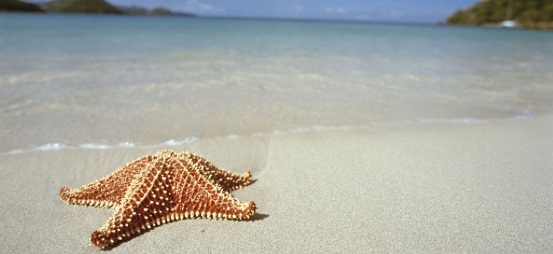 Feliz verano 2015